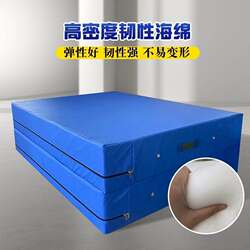 Martial Arts and Acrobatics Protective Mat, Training Anti-Fall Mat, Pvc Gymnastics Mat, Foldable Somersault Protection Mat, High Jump Sponge Mat