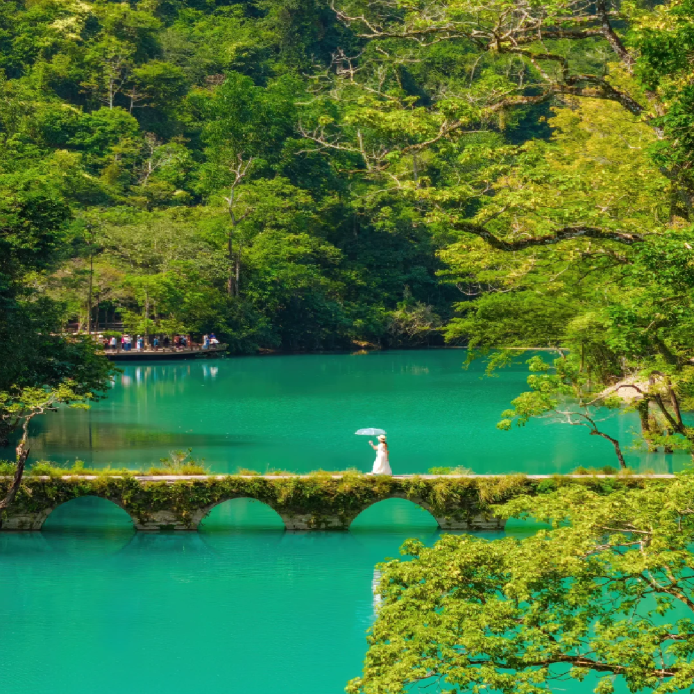【迷你私家】贵州贵阳4日3晚私家团当地