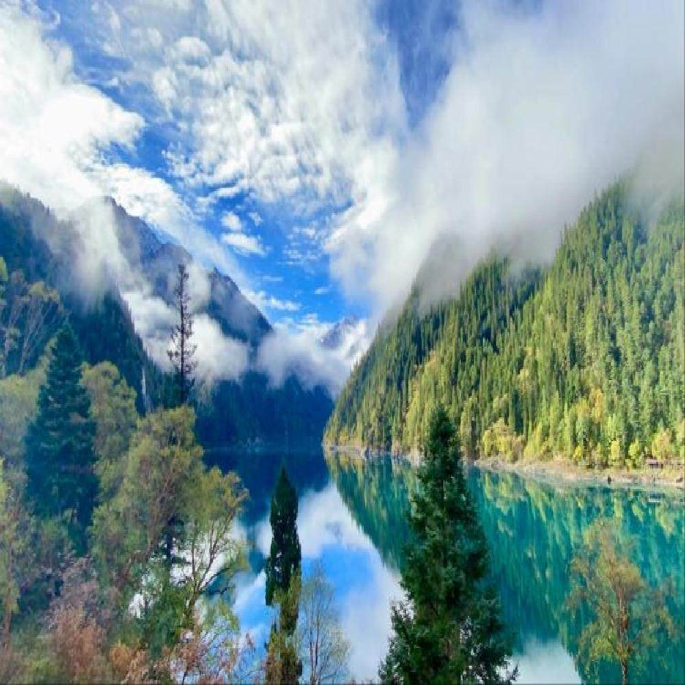 成都+九寨沟+黄龙+熊猫乐园5日4晚游