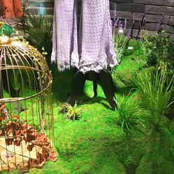 Simulated artificial moss lawn plant landscape fake moss turf green plant wall bonsai green velvet decoration