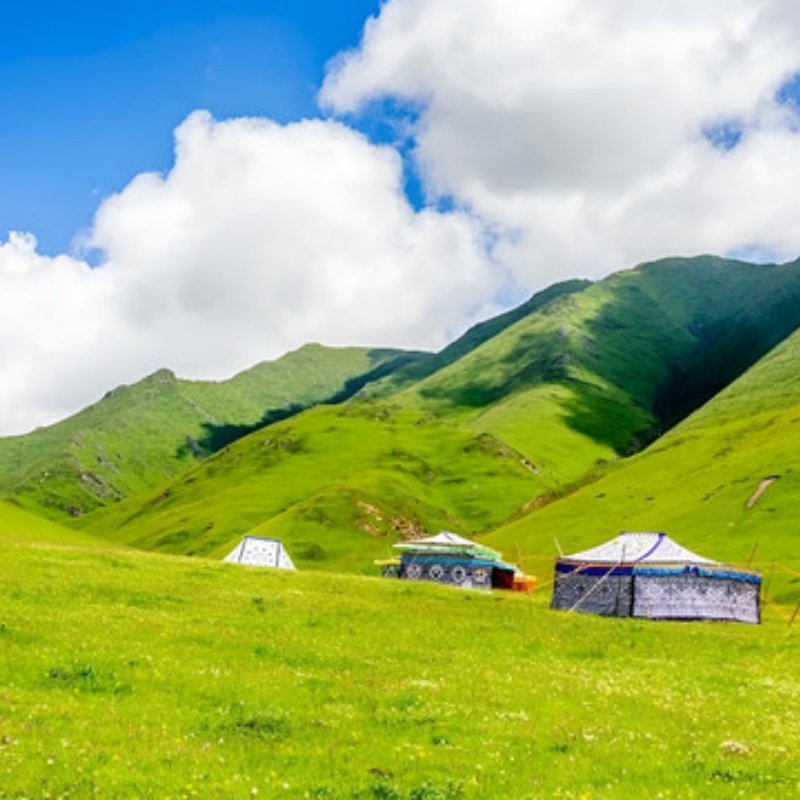 8天7晚西宁市私家团住维也纳+青海湖+专属用车+一次被宠坏的旅行