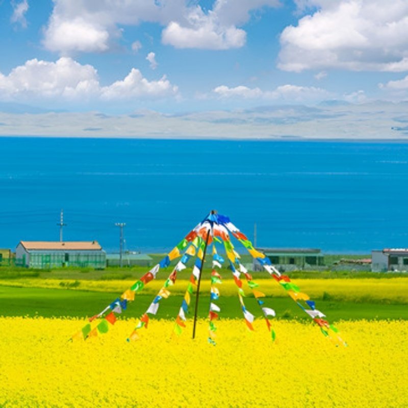 8天7晚西宁市私家团住维也纳+青海湖+专属用车+一次被宠坏的旅行