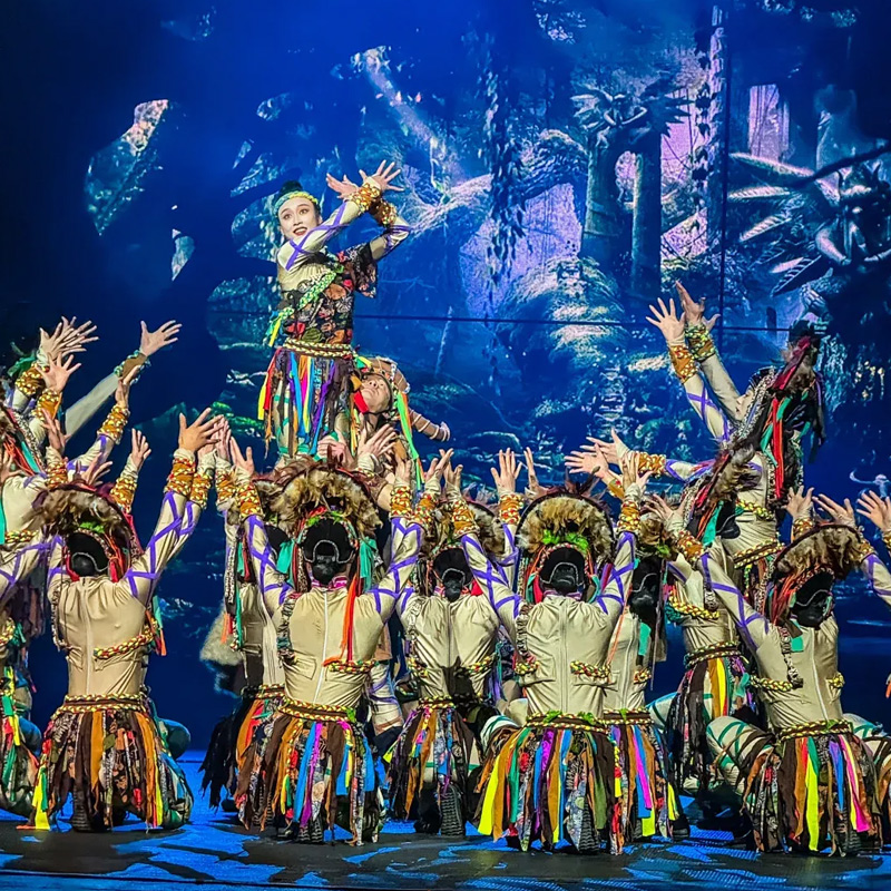 云南旅游拉市海一日游纯玩茶马古道湿地公园丽江千古情贵宾门票