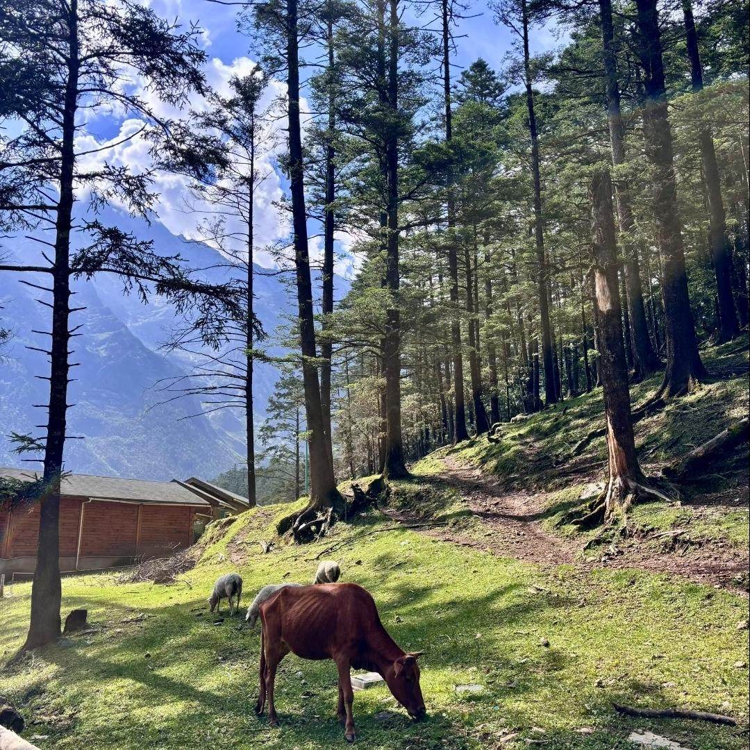 云南 风系列—风格 昆明、大理、丽江 7天跟团匠心之旅