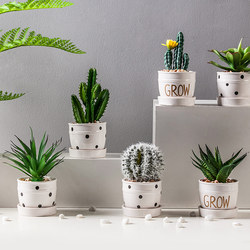 Bookcase artificial flowers simulate green plant potted succulent artificial flowers Scandinavian trinket plants