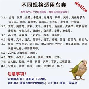 Parrot Foot Chain Stainless Steel Bird Chain Tiger Leather Tiger Eight Captain Peony Xuanfeng Bird Flying Rope Stand Bird Chain Products