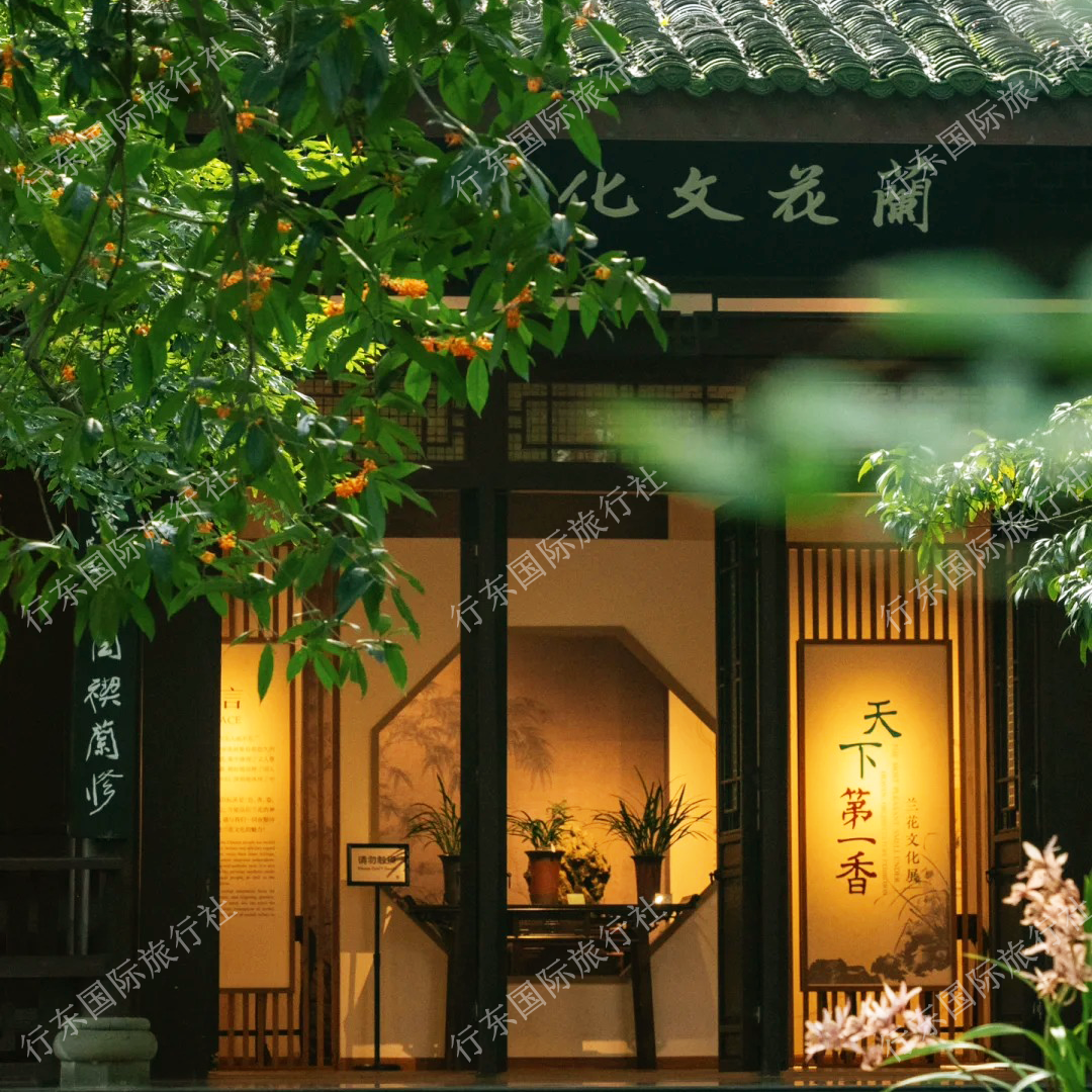 四川成都001 成都大熊猫繁育基地 一日包车游