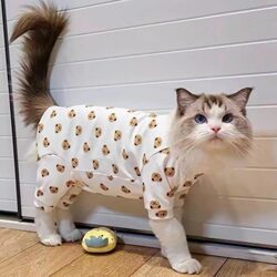 Cat Clothes for Spring and Autumn, Cartoon-Style Four-Legged Outfit for Kittens, Warm and Anti-Shedding, Fully Covered, Not Tight, Comfortable Pet Clothing