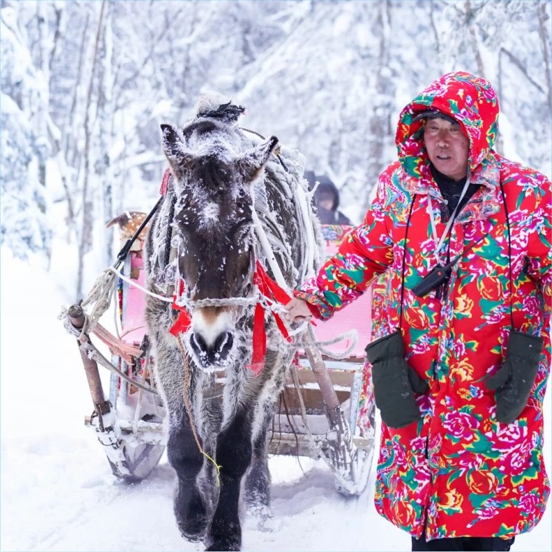 哈尔滨东北亚布力滑雪中国雪乡远东旅游横道河子4天3晚跟团游