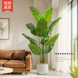 Artificial Green Plants, Fake Plants, Traveler's Banana, High-End Luxury Decoration, Indoor Potted Plants, Simulated Bird of Paradise, Living Room Ornaments, Tree