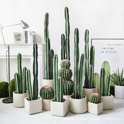 Nordic simulated immortal pillars large floor-standing tropical desert green plant measurement ruler fake cactus potted window decoration