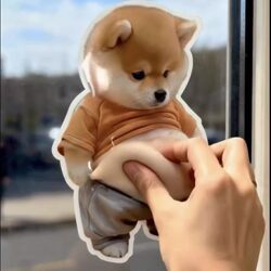Cartoon Big-Bellied Puppy-Shaped Creative Door Stopper, Cute Animal 3D Door Stopper Sticker for Home Decoration
