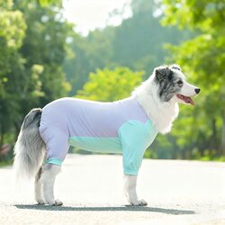 Dog Clothes to Prevent Shedding and Insects, Four-Legged Summer Ice Silk Thin Style for Medium and Large Dogs, Border Collies, Golden Retrievers Pet Clothing