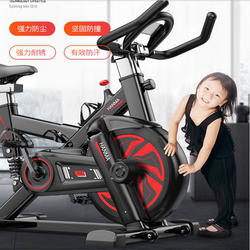 Hanma Dynamic Exercise Bike, Silent Fitness Bike, Home-Use Pedal Bike, Indoor Sports Bicycle, Gym Weight Loss Equipment