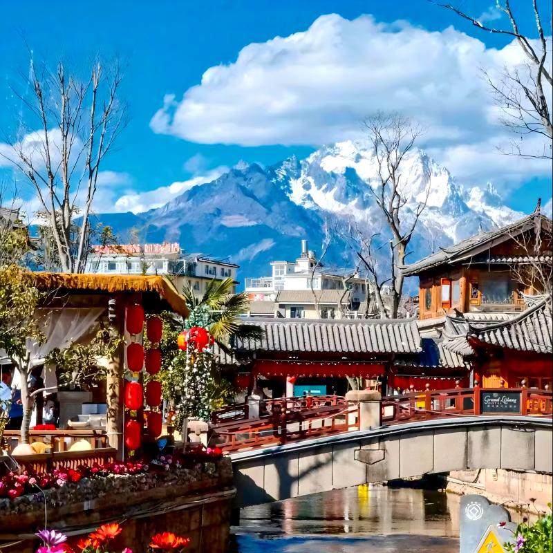 潮玩网红游法昆明大理丽江西双版纳野象谷玉龙雪山8天7晚跟团游