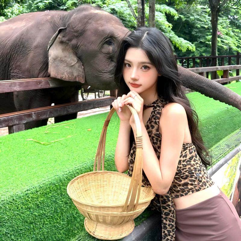 美食盛宴+0自费小团西双版纳勐泐大佛寺野象谷5天4晚跟团游