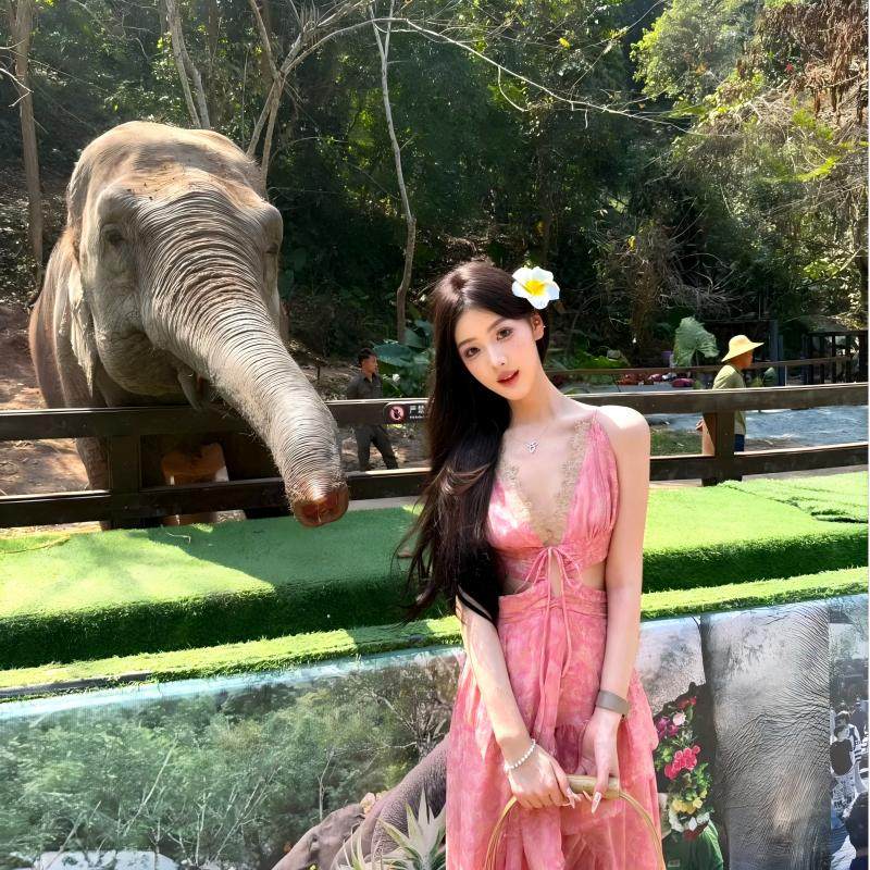 纯玩8人精品小团+豪华住宿西双版纳曼听公园野象谷5天4晚跟团游