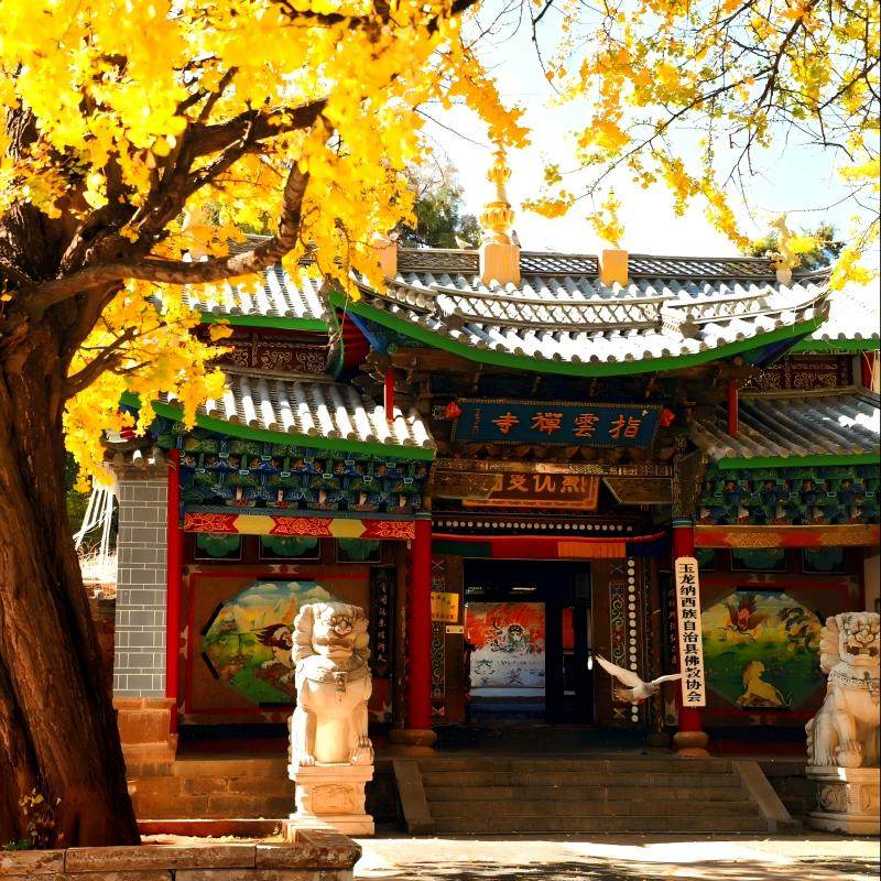 畅享品质出游昆明大理丽江泸沽湖玉龙雪山束河古镇8天7晚跟团游