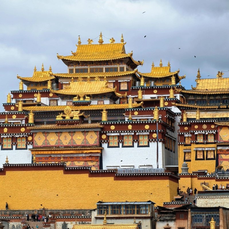 云南丽江至香格里拉2日游2-6人小团虎跳峡普达措松赞林寺包车旅游