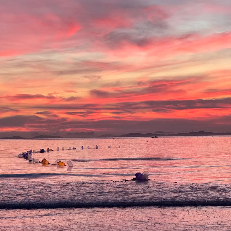 潮汕旅游 汕头+南澳岛+潮州4日游 2-6人纯玩小团精选酒店