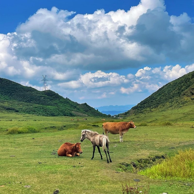 贵州六盘水乌蒙大草原兴义万峰林湖马岭河3日游 2-6人小团旅游B线