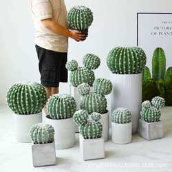 Nordic simulated cactus cactus potted plant ornaments fake green plants bonsai decoration tropical desert style landscape