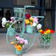 Creative European bicycle iron art n flower stand balcony flower stand pothos flower pot stand home gardening climbing pergola white