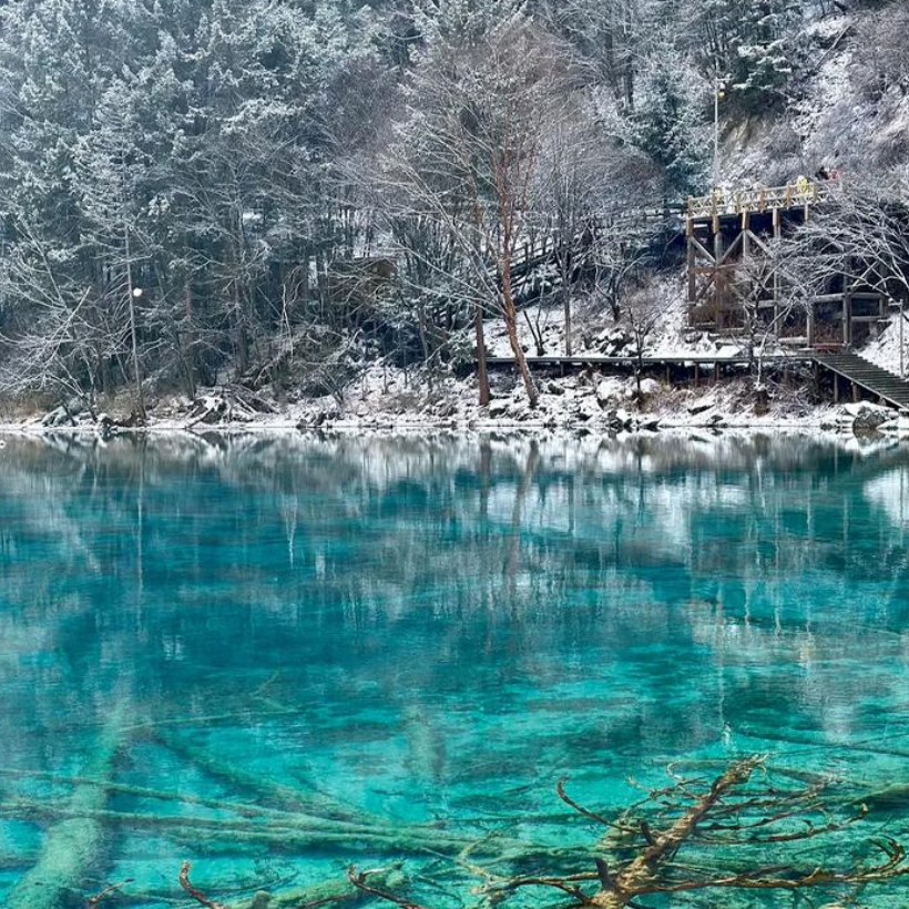 九寨沟+成都六日游 九寨沟黄龙峨眉山都江堰乐山大佛三星堆6天5晚