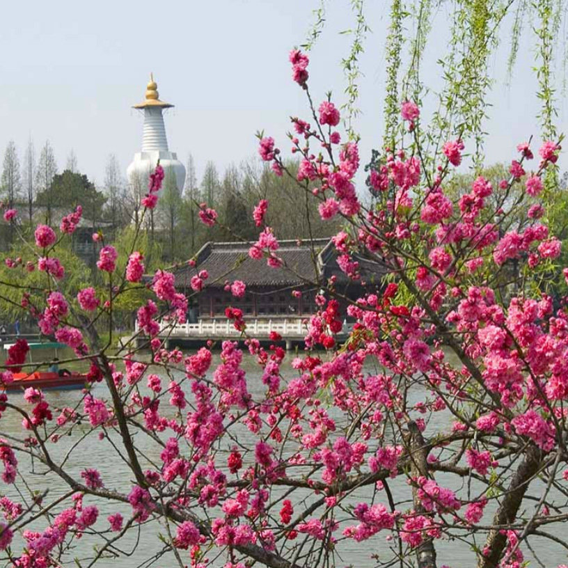 【万卷说·私家团】瘦西湖 优质讲师 人工讲解2小时 | 不含门票