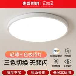 Hp Lighting Led Three-Proof Ceiling Light for Bedroom, Study, Balcony, Dining Room, Modern Simple Ultra-Thin Zhongshan Lighting
