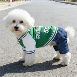 New Style Denim Four-Legged Clothing for Cats and Dogs, Stylish Sweatshirt for Bichon, Pomeranian, Teddy, Small Dog Pet Clothing