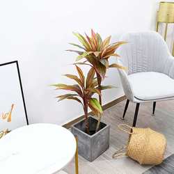 Nordic simulated red leaves, banana green plants, living room, home hotel, landscaping tropical rainforest landscape plants, fake tree potted plants