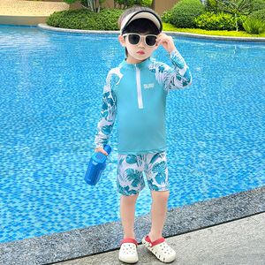 
Children's swimsuit 2025 new boy split swimming trunks baby summer clothes quick-drying sun protection hot spring beach vacation swimsuit