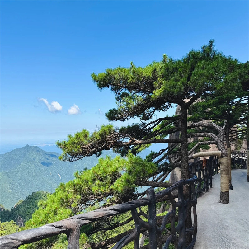 江西上饶三清山葛仙村万仙谷婺女洲5天4晚