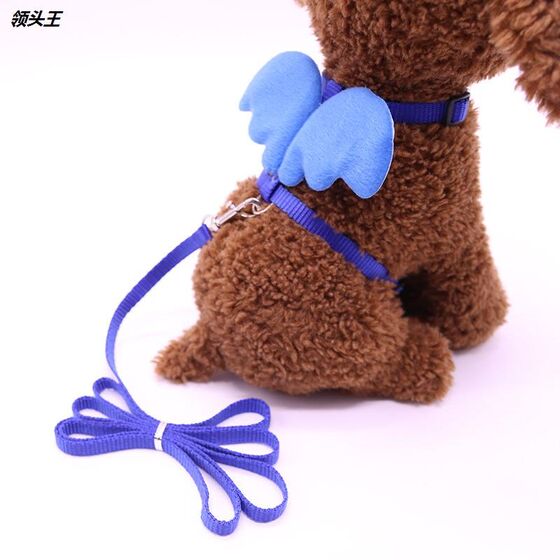Pets on the back of the chest with a small and medium -sized dog pet angel wings leading the rope dog products manufacturer
