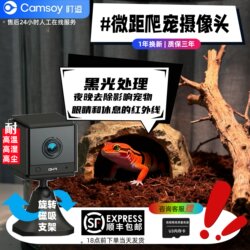 Reptile Camera, High-Definition Night Vision, Incubation Observation Camera, Mobile Phone Remote Control Surveillance Camera