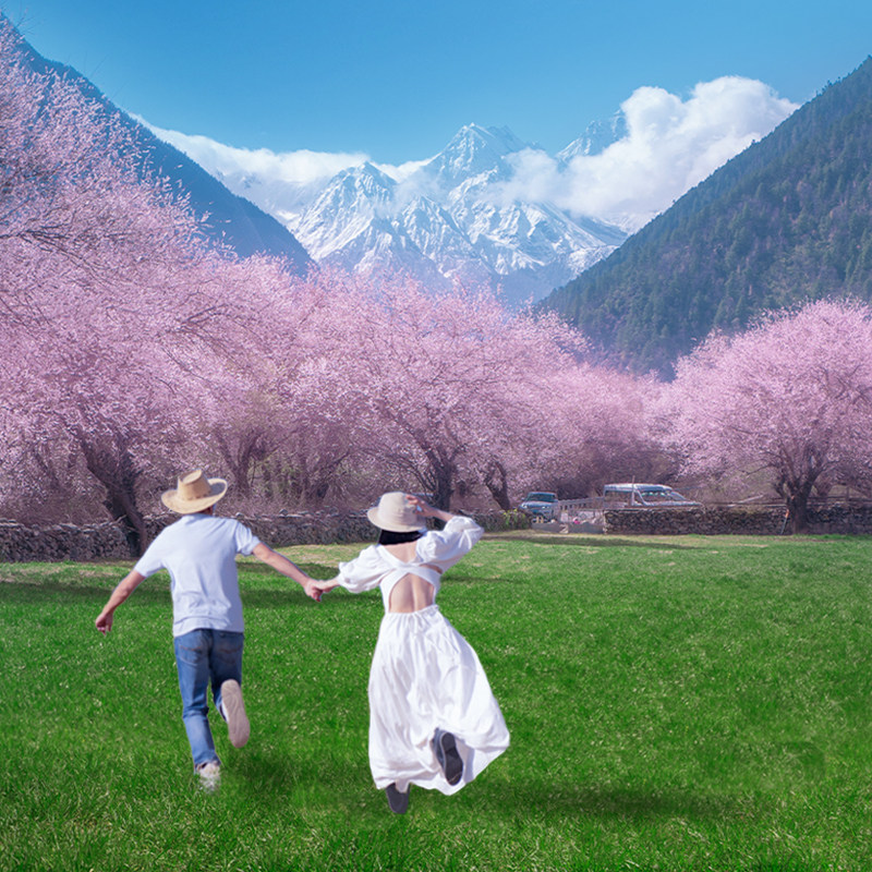 【0擦边 越野摄影团】西藏全景林芝珠峰旅游纳木错北岸纯玩7日游