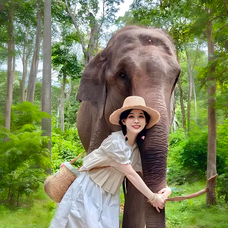 5钻酒店一价全含3程动车云南纯玩8天昆明大理丽江西双版纳跟团游