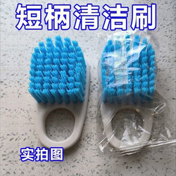 Multi-Purpose Vegetable Washing Brush, Board Brush, Cutting Board Cleaning Brush, Kitchen Pot and Stove Cleaning Brush, Stain Remover for Pots and Stoves, Basket Brush