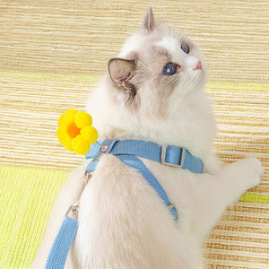 
Colorful flowers go out cat leash shaker harness dog vest anti-breakaway pet cat rope