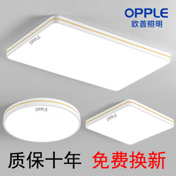 Op Lighting 2025 New Model Main Light Living Room Light Ceiling Light Modern Simple and Elegant Zhongshan Lighting Whole House Package