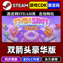 Steam Genuine Twin Shot Deluxe Edition Activation Code Cdkey for Twin Shot Deluxe Full Dlc Chinese Pc Game