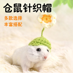 Crown Asia hamster hat headwear pet golden bear hat clothing knitted wool hat parrot knitted hat