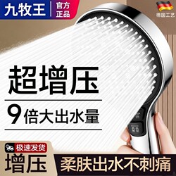 Pressurized Shower Head Bathroom Water Heater Shower Set for Home Use