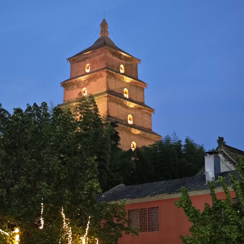 汽车出发河南洛阳2天1晚自由行