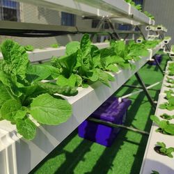NFT soilless cultivation of vegetables and strawberry planting A-frame hydroponic equipment balcony pipe vegetable growing machine source construction