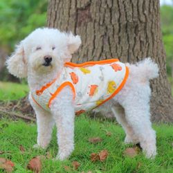 Pet Clothing Autumn and Winter Dog Vest Teddy Dogon Schnauzer Corgi Hairless Cat Pet Clothing Cotton Vest
