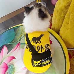 Cat pet clothes spring and summer takeaway backpack thin rappet blue cat silver gradient dog Teddy small dog clothing