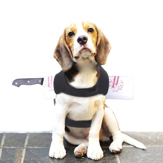 
Halloween Creative New Funny Wholesale Dogs Transformed into Cats Amazon Pet Clothes Costumes Small Dogs