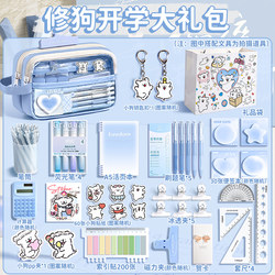 Cute Puppy Stationery Set, School Supplies, Five-Layer Transparent Pencil Case, Gift Pack for First Grade 2026, Super Popular Stationery Gift Box, Girl's Birthday Gift, Pencil Case for Girls, Elementary School Back-To-School Gift